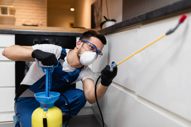 Best Pest Removal Services  in Rising Sun, MD