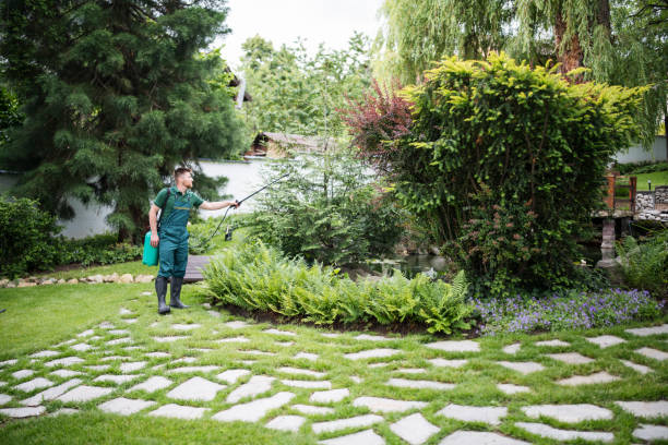 Best Exterminator Services  in Rising Sun, MD