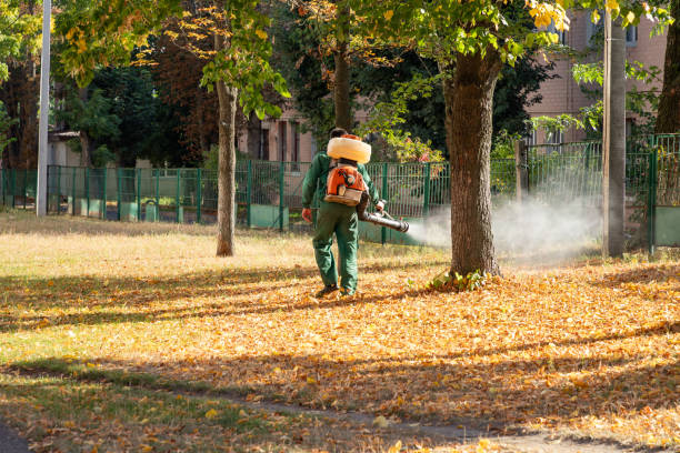 Best Residential Pest Control  in Rising Sun, MD