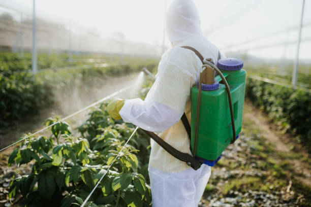 Best Best Pest Control Companies  in Rising Sun, MD